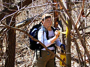 Boundary marking on Peters Mountain